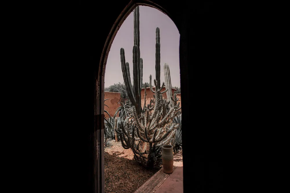 Photo by ProudRad. theweddingnotebook.com