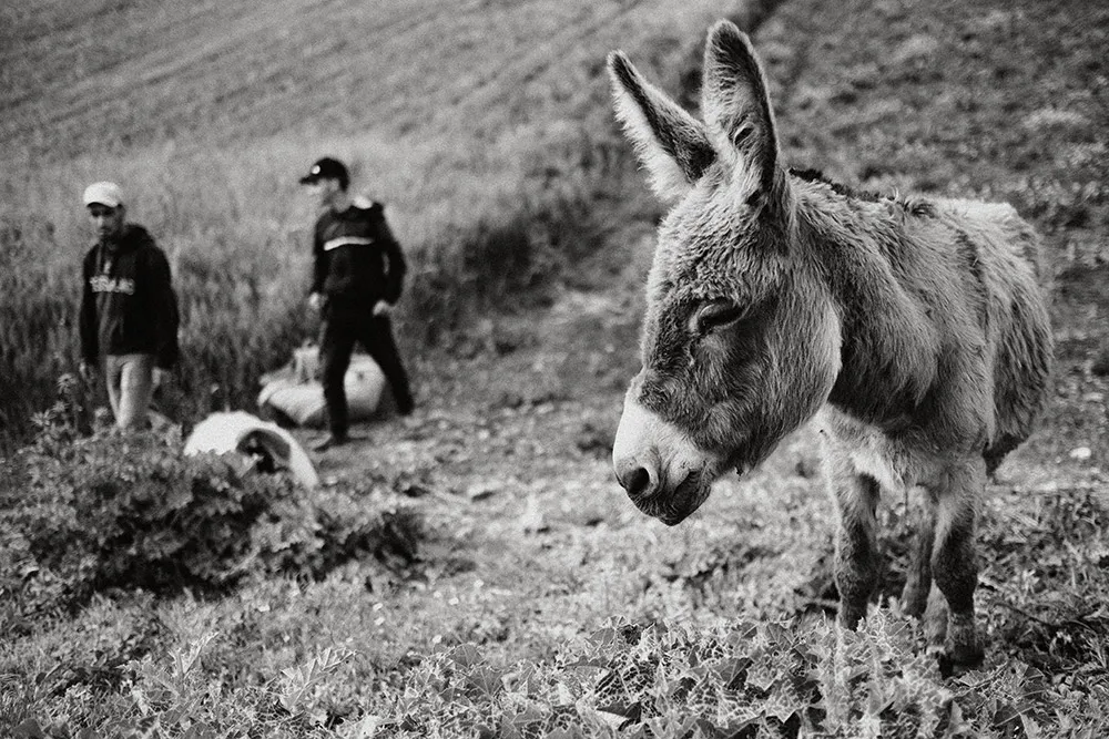 Photo by Terralogical. theweddingnotebook.com