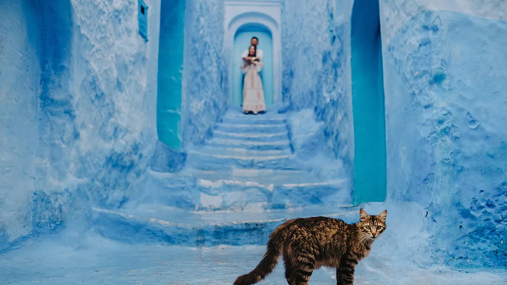 Photo by Terralogical. theweddingnotebook.com