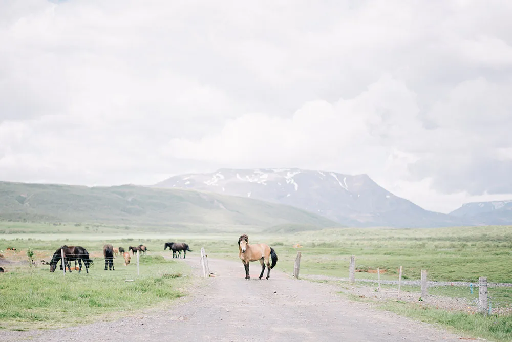 Photo by Ben Yew Photography. theweddingnotebook.com