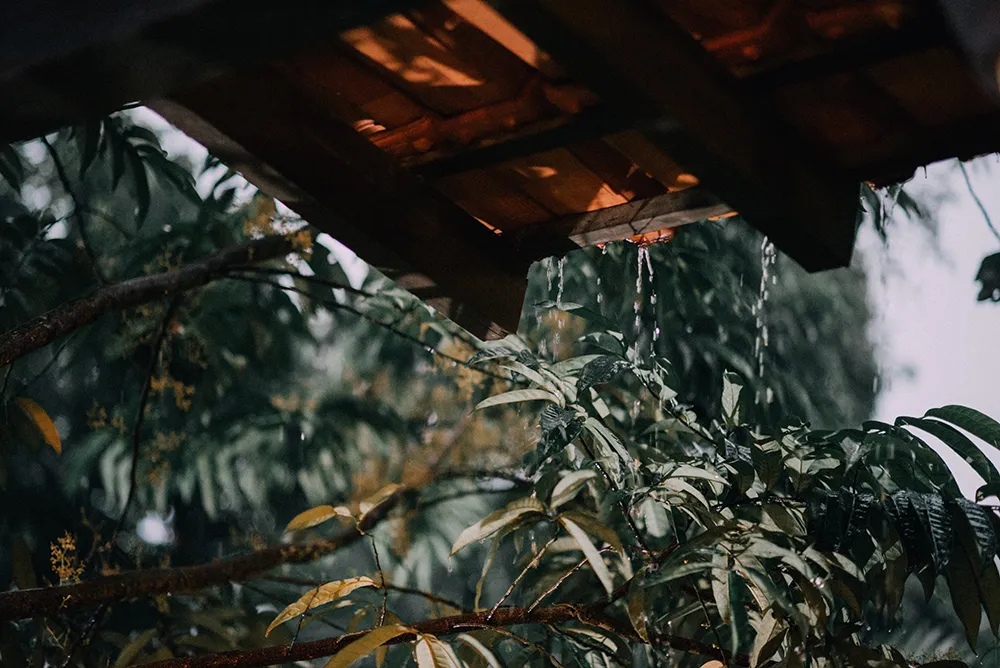 Photo by Anson Photography. theweddingnotebook.com