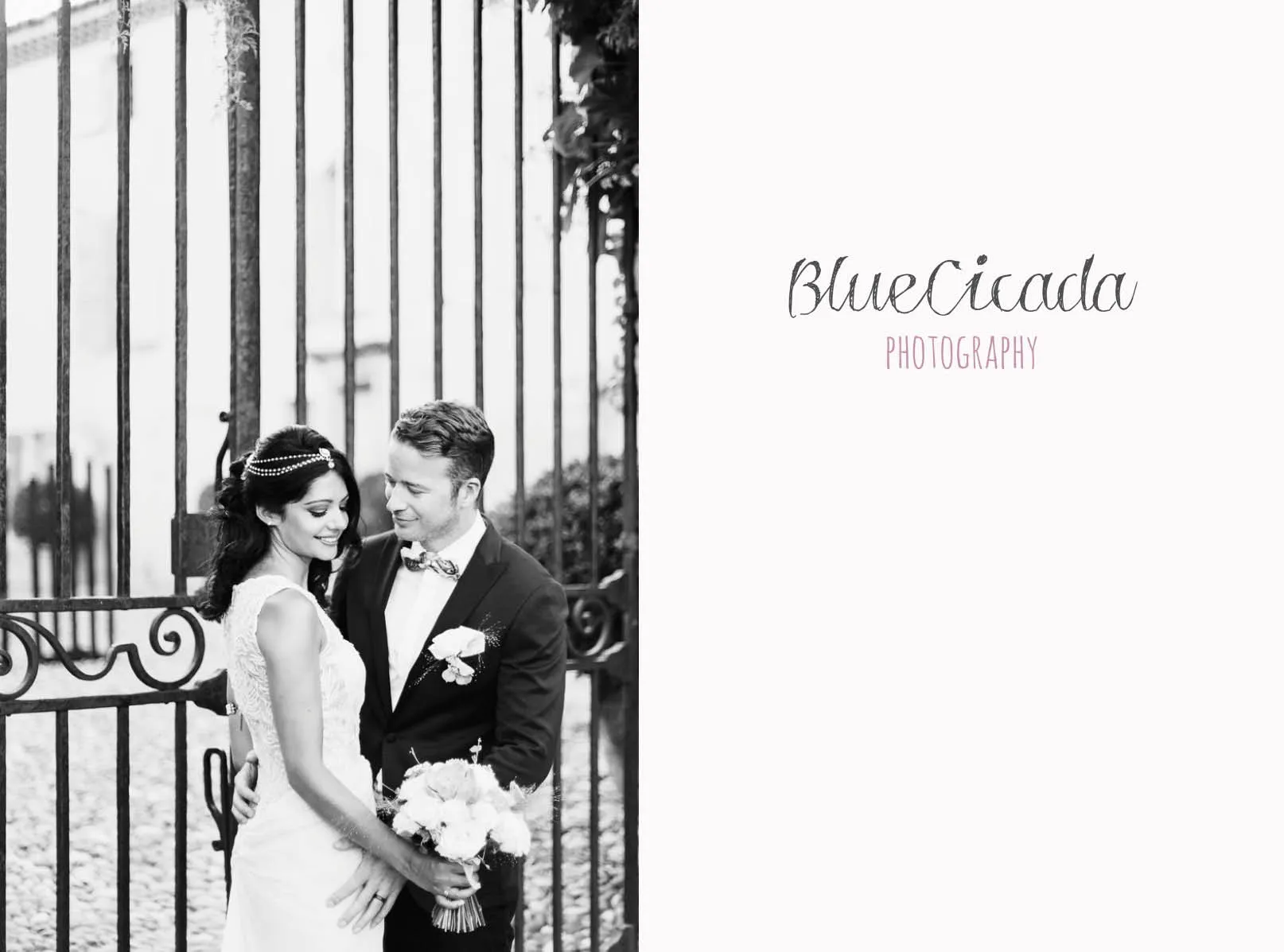 bluecicada photography