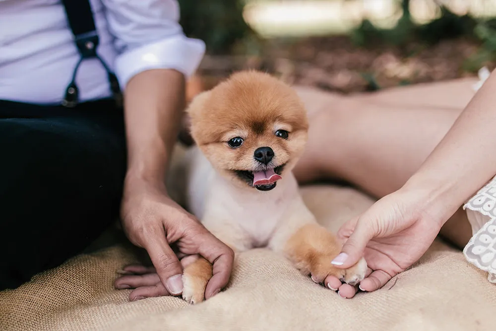 Photo by One Way Ticket. theweddingnotebook.com