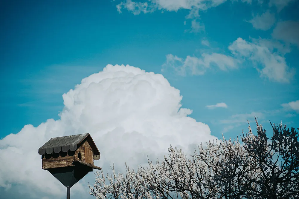 Photo by Terralogical. theweddingnotebook.com