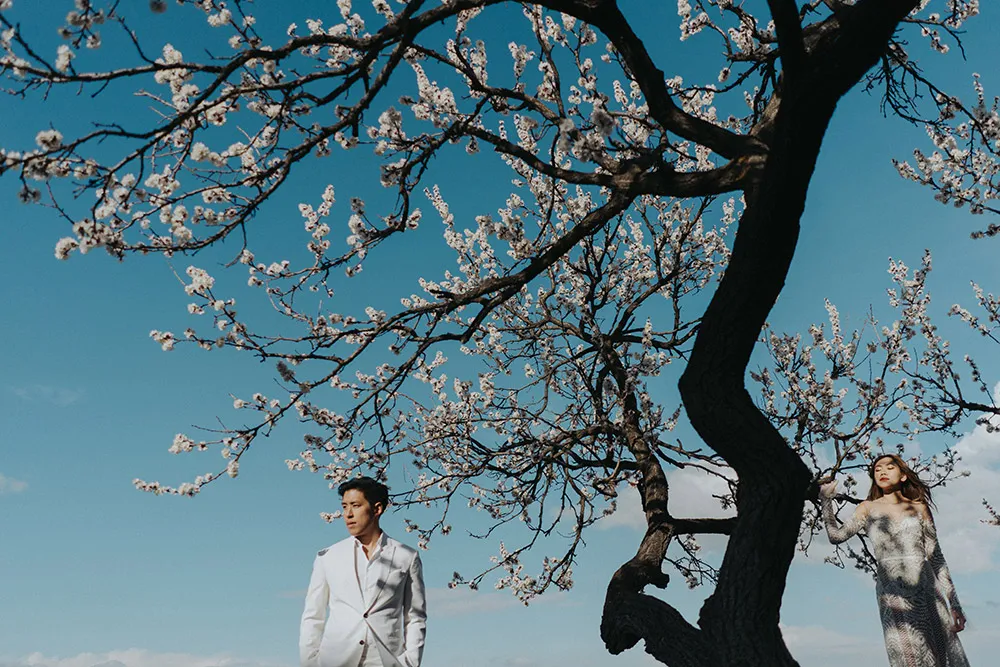 Photo by Terralogical. theweddingnotebook.com