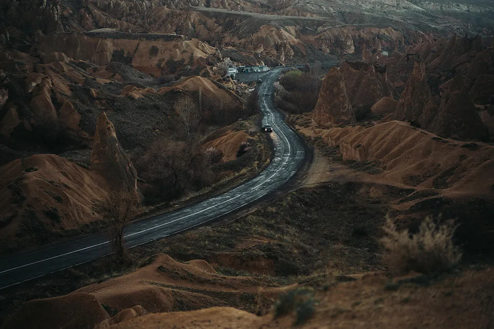 Photo by Terralogical. theweddingnotebook.com