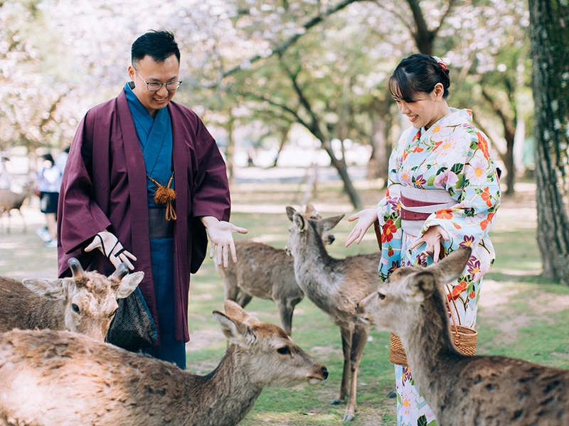 Bridal Portraits Amidst the Cherry Blossoms in Osaka, Japan