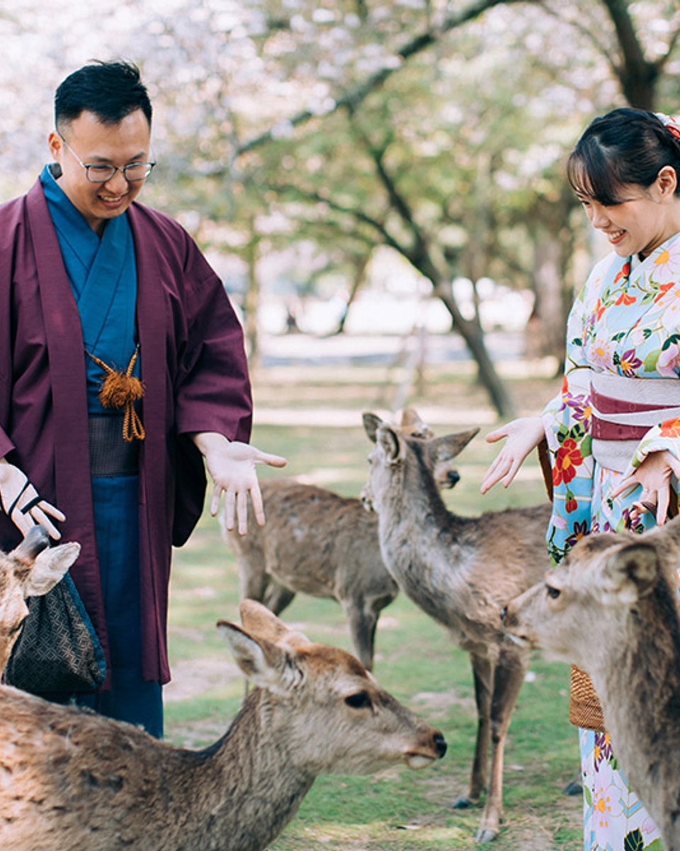 Bridal Portraits Amidst the Cherry Blossoms in Osaka, Japan