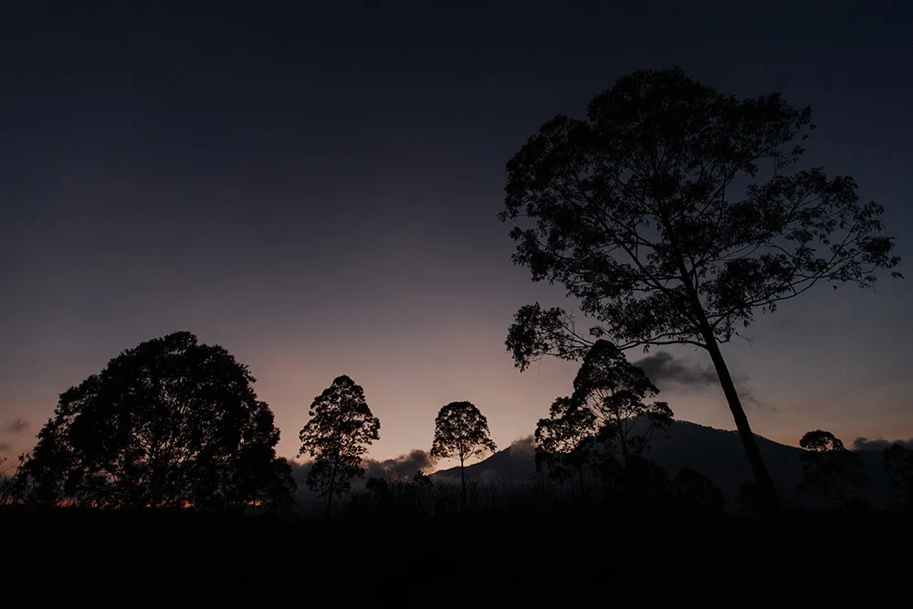 Photo by Louis Gan Photography. theweddingnotebook.com