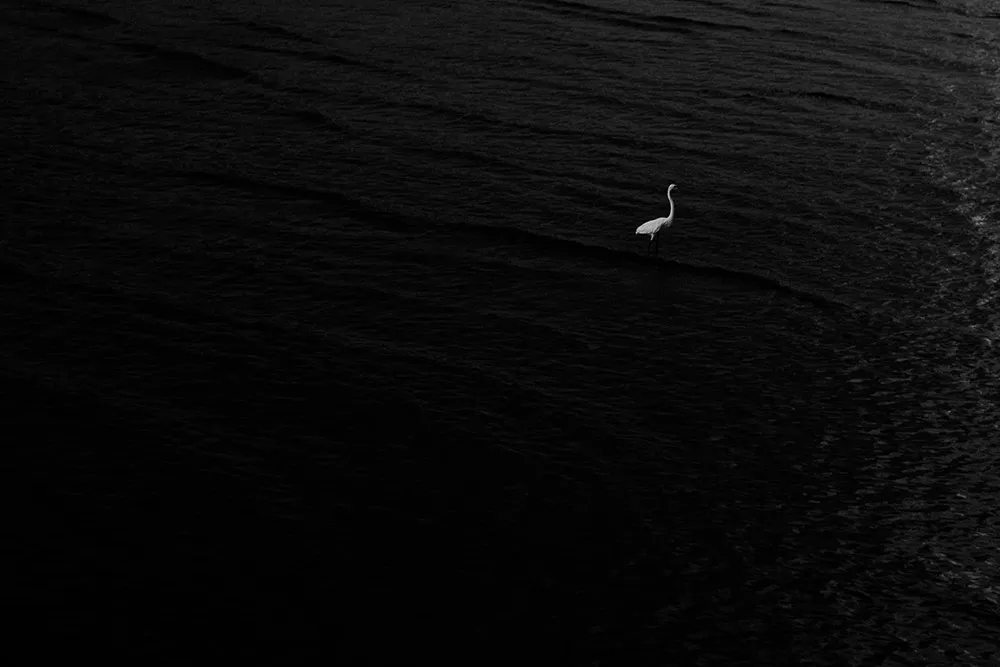 Photo by Sanren Studio. tp://theweddingnotebook.com