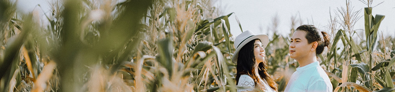 Bridal Portraits Shot Amid Golden Paddy Fields and a Corn Orchard in Sekinchan