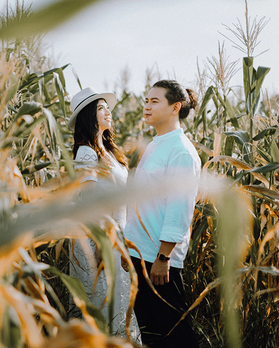 Bridal Portraits Shot Amid Golden Paddy Fields and a Corn Orchard in Sekinchan