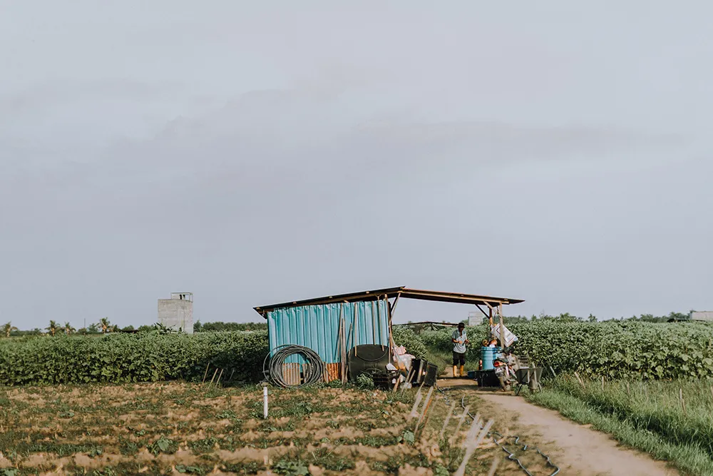 Jackie Yong Photography. theweddingnotebook.com