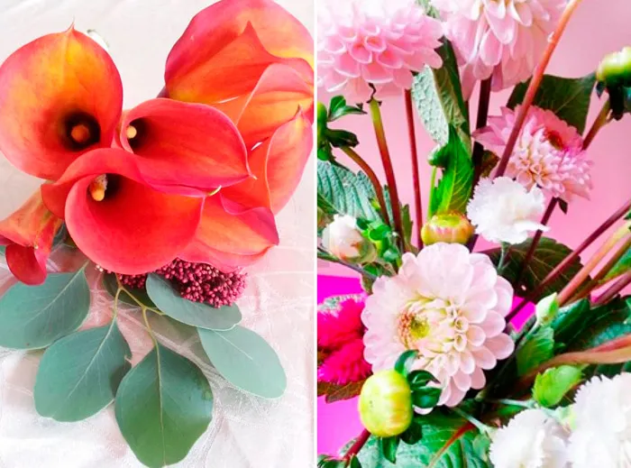 camellia-floral-studio2