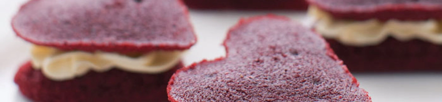 Deliciously Chocolate