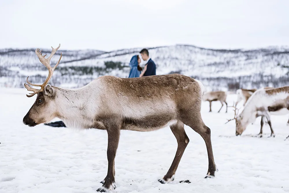 Photo by Sheerss. theweddingnotebook.com