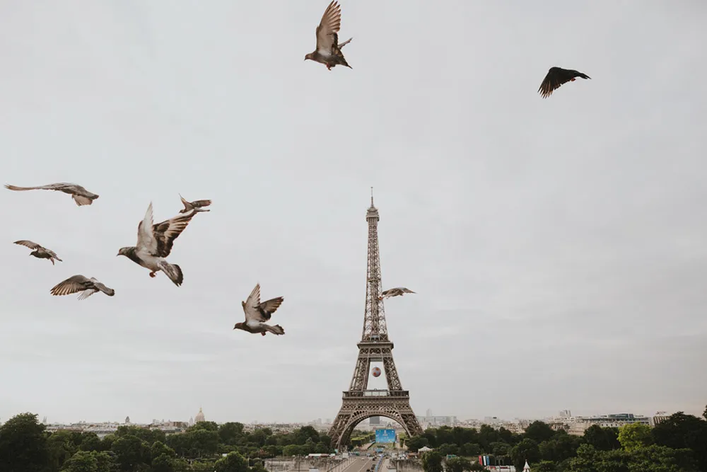 Photo by Synchronal Photography. theweddingnotebook.com