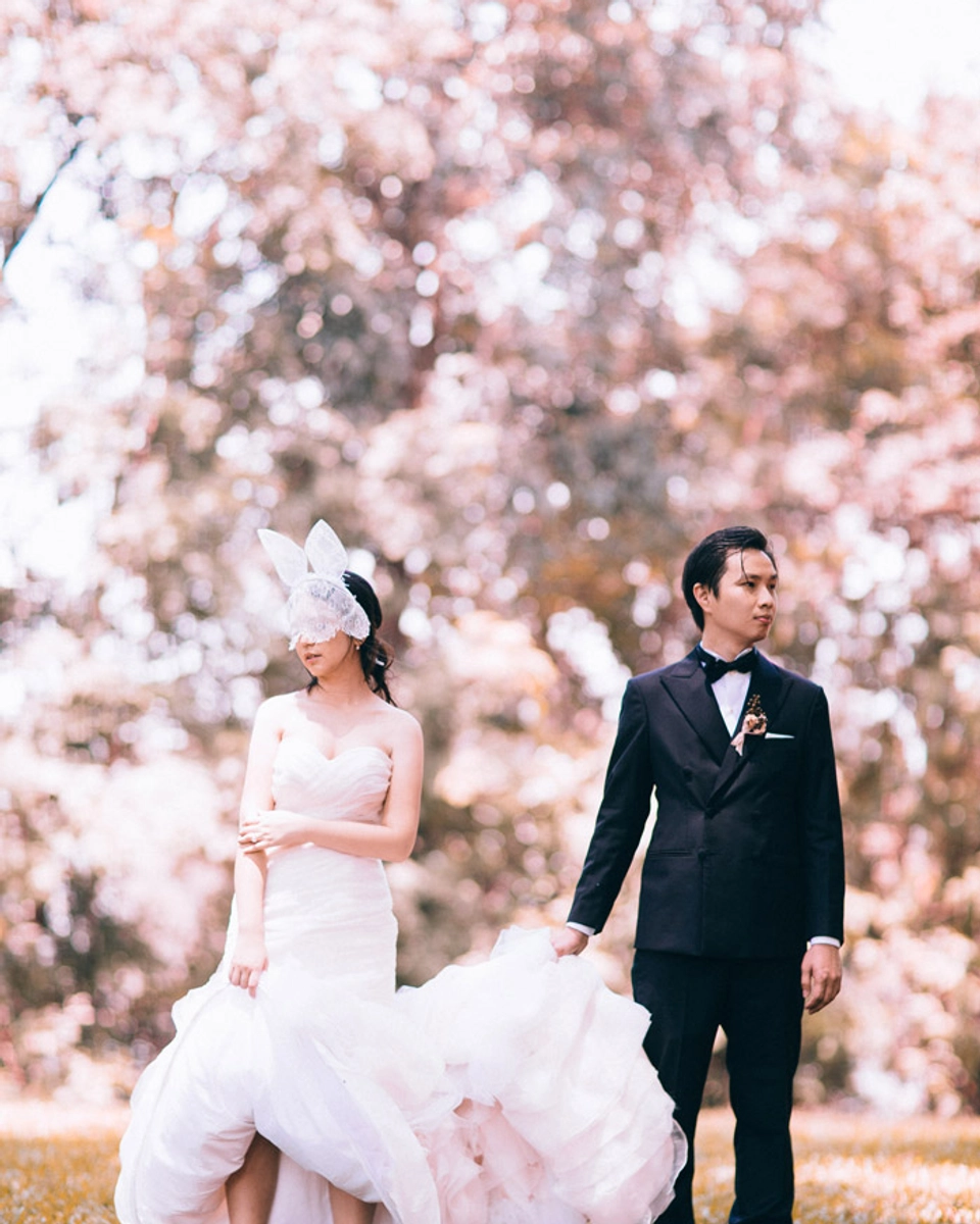 Dreamy Love Storybook