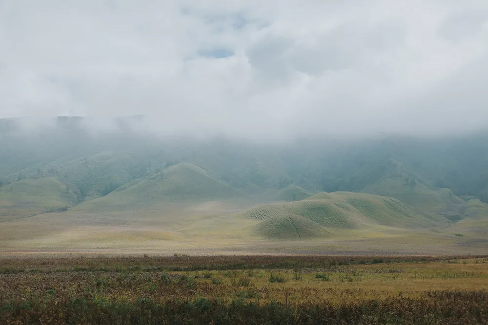 Photo by Synchronal Photography. theweddingnotebook.com