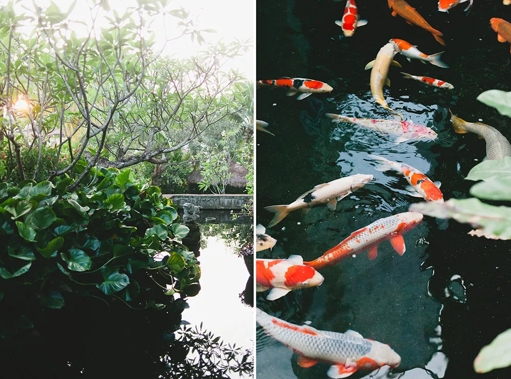 Photo by Inlight Photos. theweddingnotebook.com