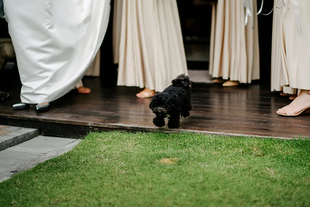 Photo by Bloc Memoire Photography. theweddingnotebook.com