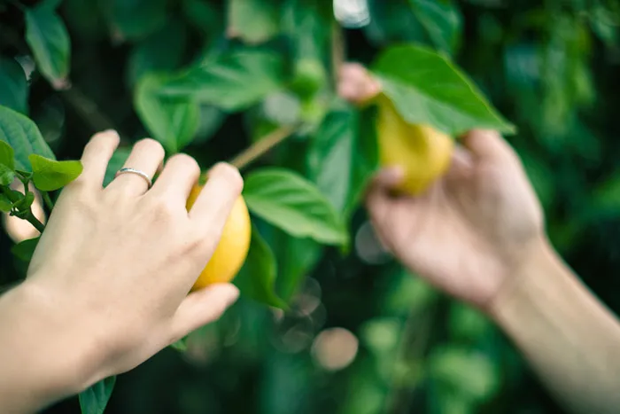 DIY Bridal Portraits. theweddingnotebook.com
