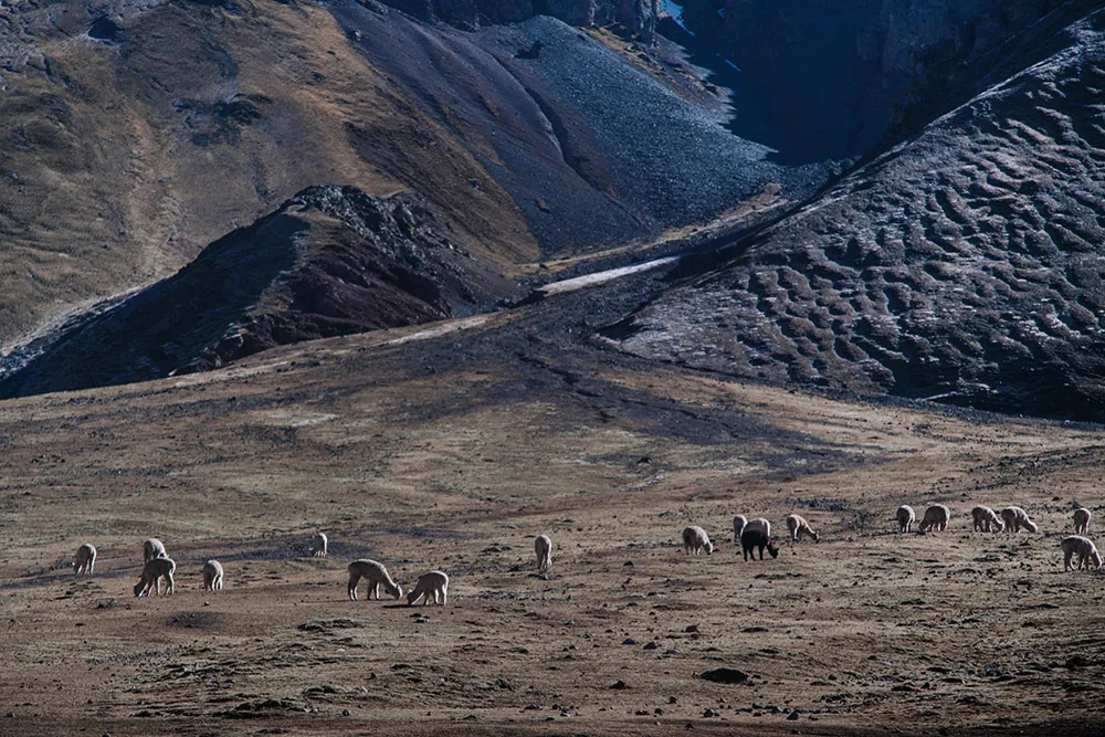 Photography by Metrophoto. Destination engagement shoots in Peru. theweddingnotebook.com