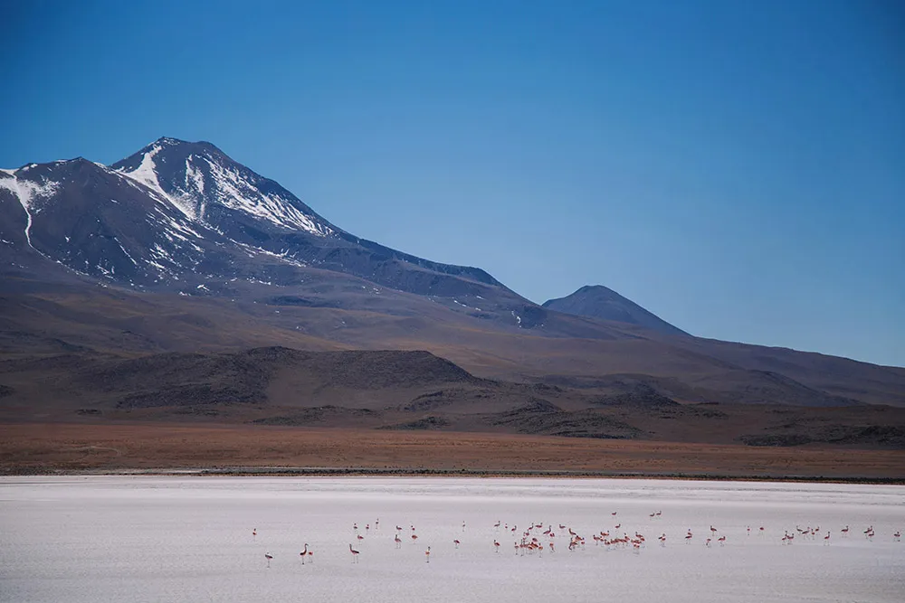 Photography by Metrophoto. Destination bridal portraits in Bolivia. theweddingnotebook.com