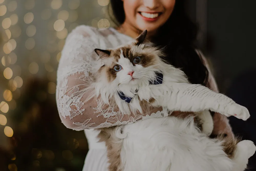 Bloc Memoire Photography. theweddingnotebook.com