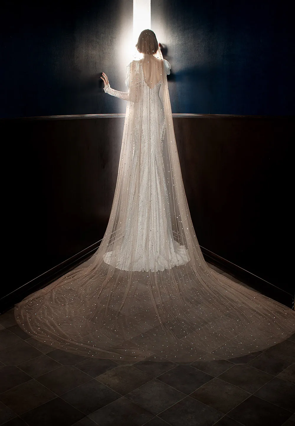 Stardust Veil - Galia Lahav Spring 2018 Bridal Collection. theweddingnotebook.com