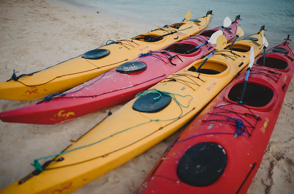 Photo by Terralogical. theweddingnotebook.com