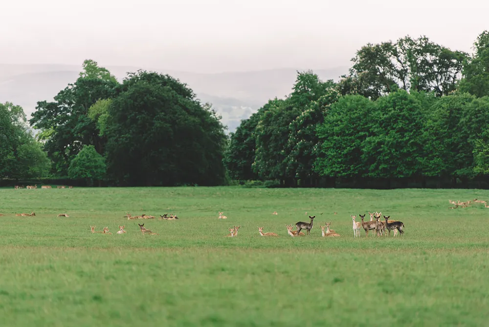 Dennis Yap Photography. theweddingnotebook.com