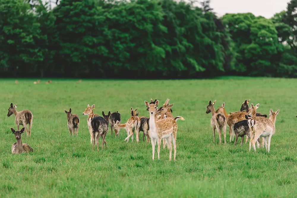 Dennis Yap Photography. theweddingnotebook.com