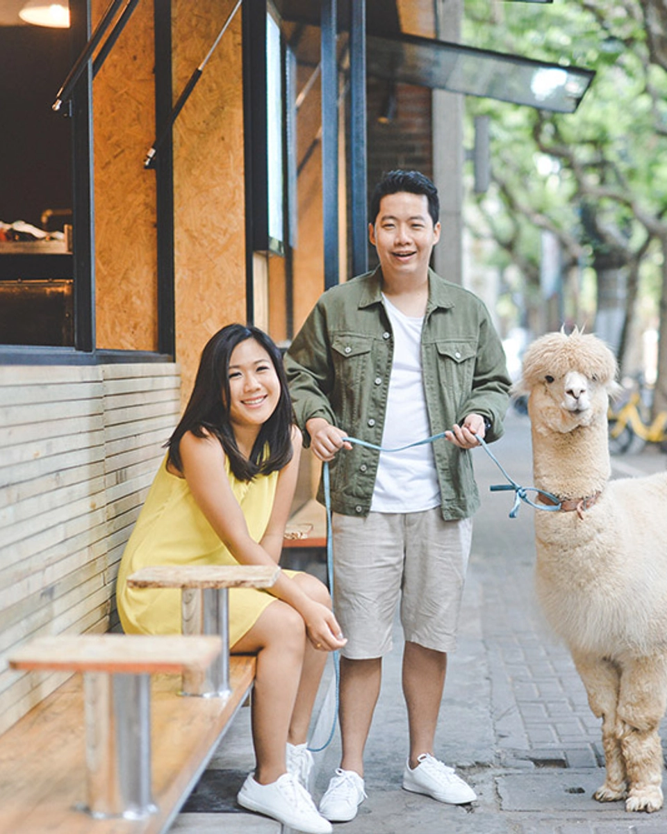 Just Strolling Through Shanghai With an Adorable Alpaca