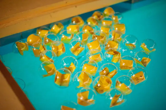 Mike Arick Photography. theweddingnotebook.com