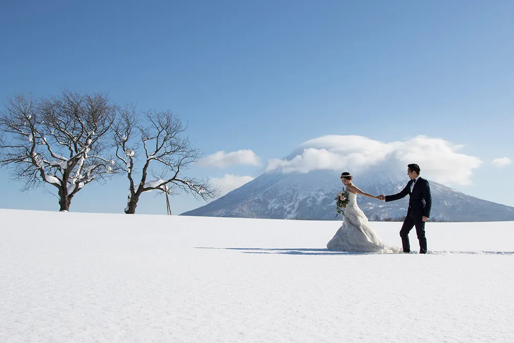 Niseko Photography & Guiding