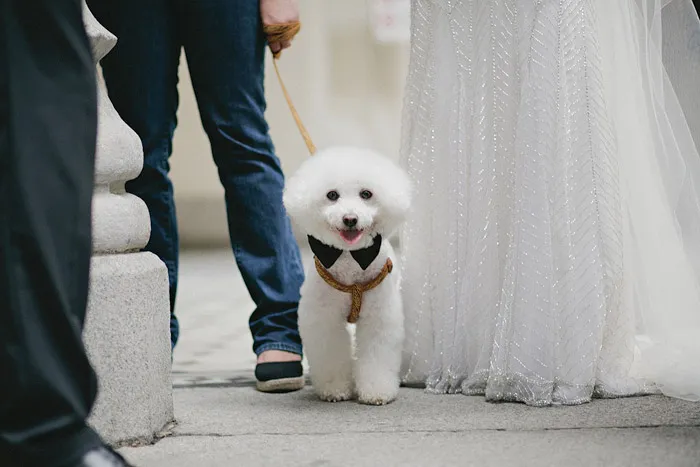 Photo by History Studio. theweddingnotebook.com