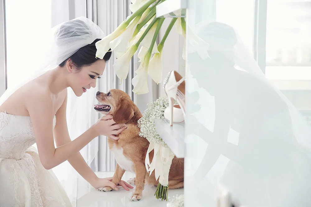 Photo by Axioo. theweddingnotebook.com