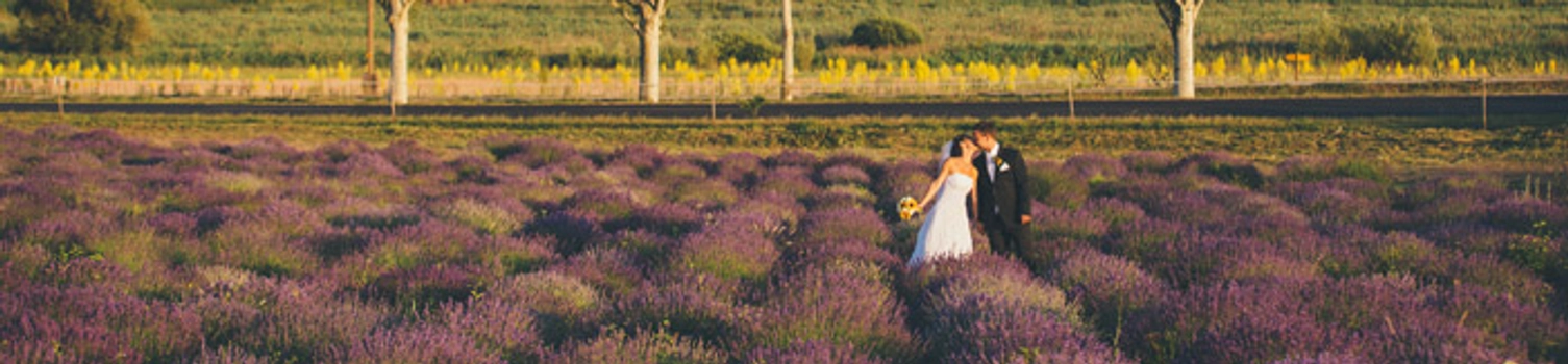 Peter Herman Photography