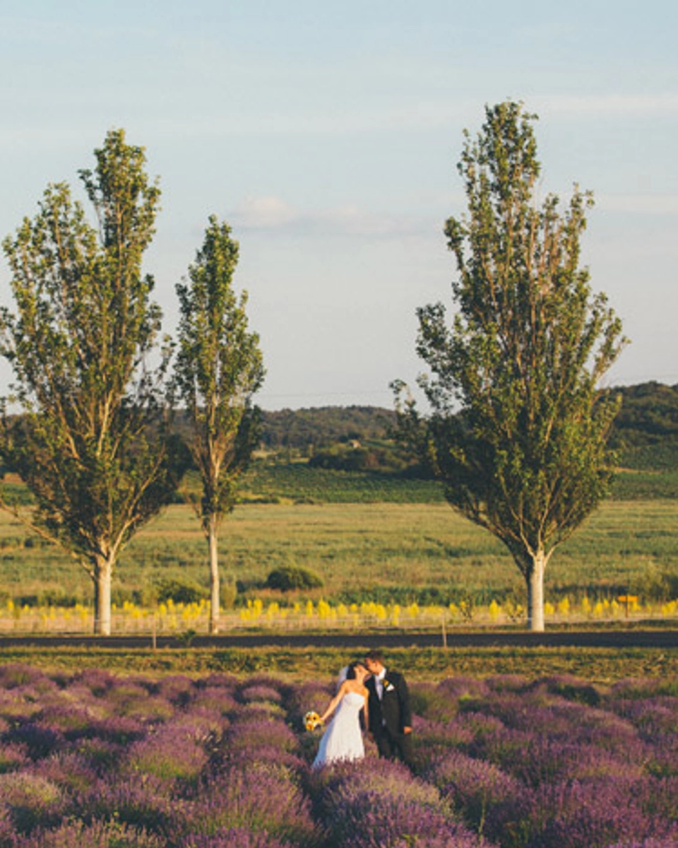 Peter Herman Photography