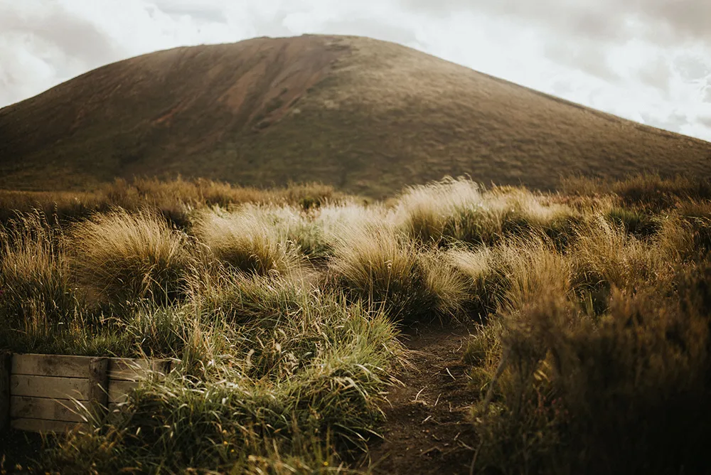 Photo by Iluminen. theweddingnotebook.com