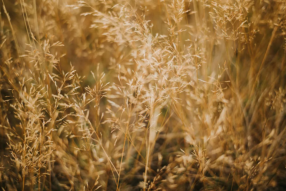 Photo by Iluminen. theweddingnotebook.com