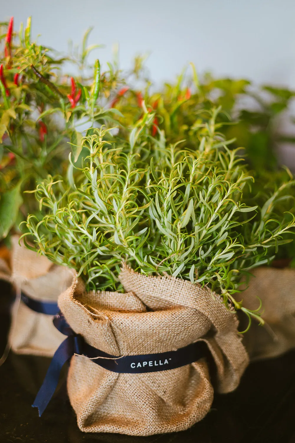 Photo by Studiokel Photography. theweddingnotebook.com