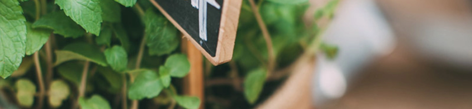 Rustic Backyard Wedding At The Greyhouse