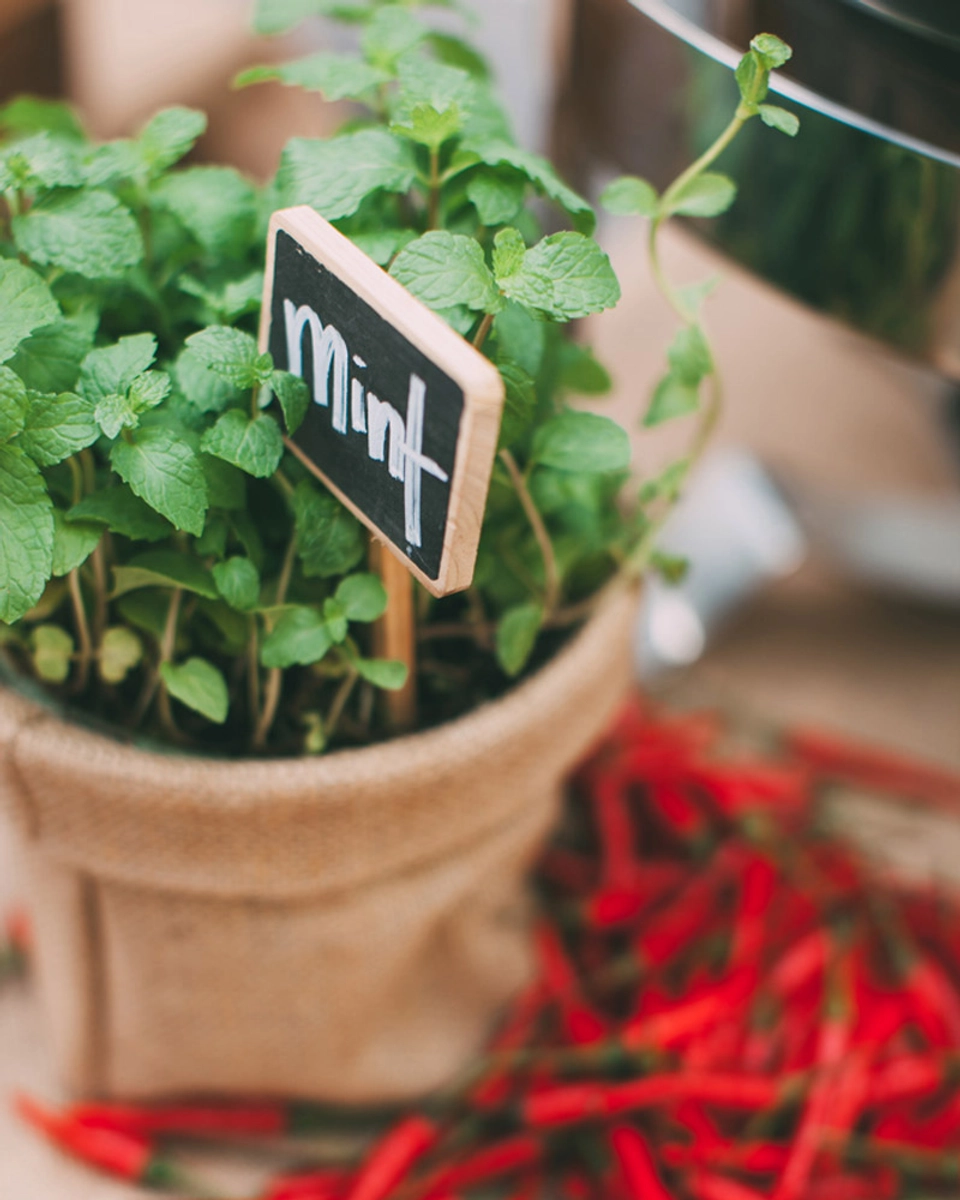 Rustic Backyard Wedding At The Greyhouse