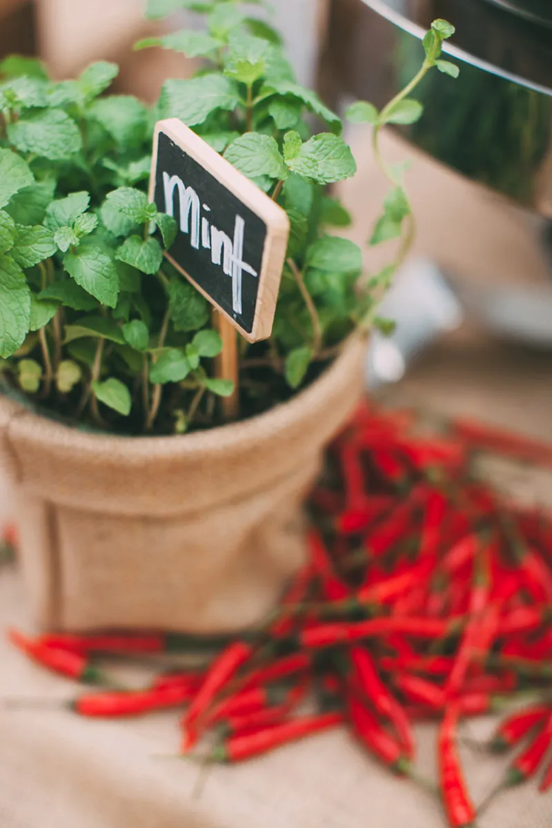 Photo by ZA GAllery. theweddingnotebook.com