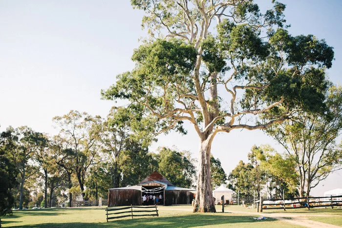 Studio Something Photography. theweddingnotebook.com