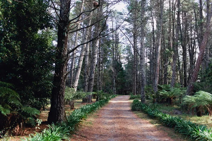 theweddingnotebook.com. Photography by Sayher Heffernan. Wedding at AllView Escape, Sydney