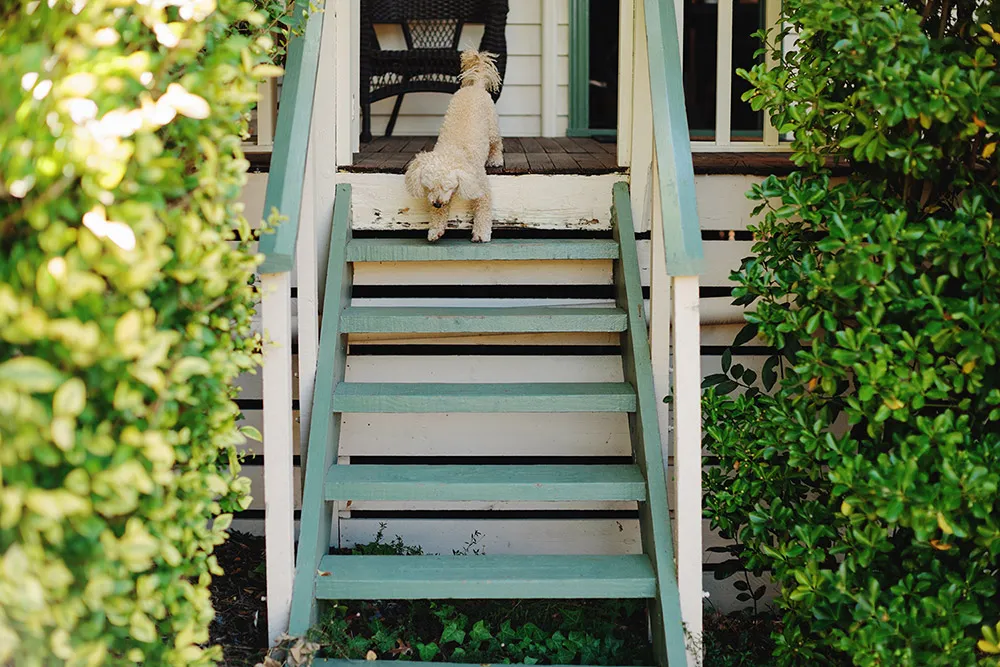 Photo by Jonathan Ong Photography. theweddingnotebook.com