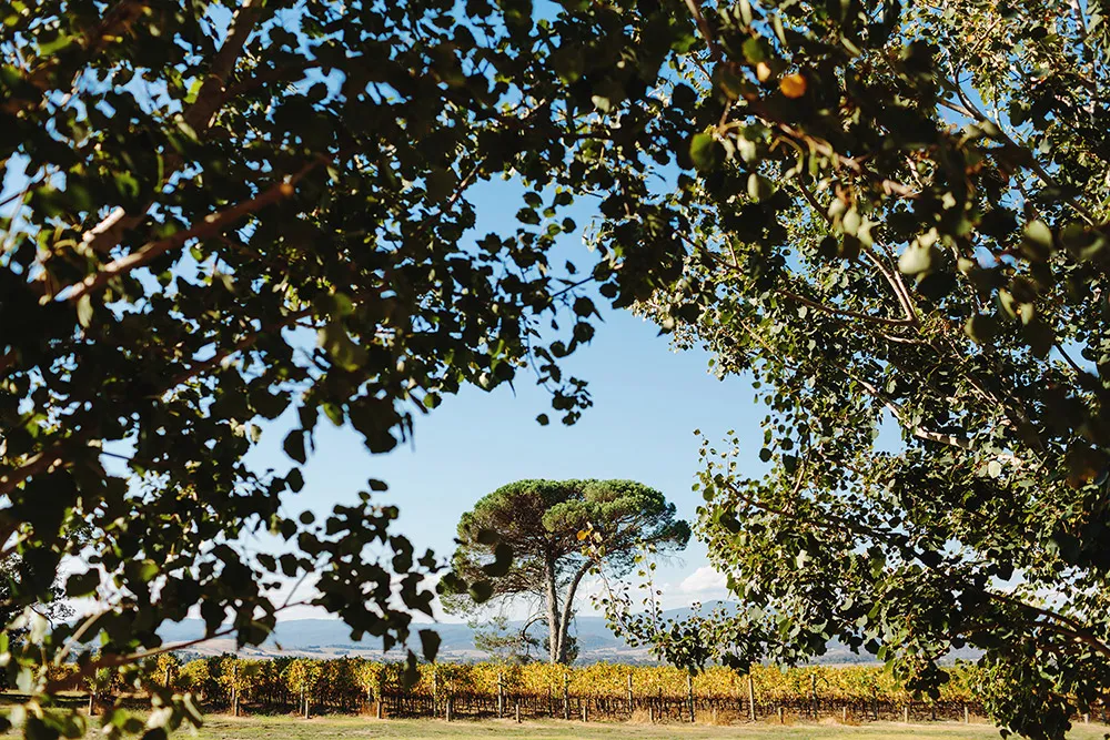 Photo by Jonathan Ong Photography. theweddingnotebook.com